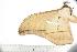  ( - BC-TB1293)  @13 [ ] Copyright (2010) Unspecified Research Collection of Thierry Bouyer