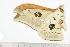  ( - BC-TB1314)  @12 [ ] Copyright (2010) Unspecified Research Collection of Thierry Bouyer