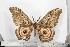  ( - BC-TB1409)  @12 [ ] Copyright (2010) Unspecified Research Collection of Thierry Bouyer