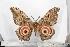  ( - BC-TB1410)  @12 [ ] Copyright (2010) Unspecified Research Collection of Thierry Bouyer