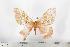  ( - BC-TB1435)  @13 [ ] Copyright (2010) Unspecified Research Collection of Thierry Bouyer
