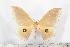  ( - BC-TB1446)  @11 [ ] Copyright (2010) Unspecified Research Collection of Thierry Bouyer