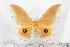  ( - BC-TB1449)  @11 [ ] Copyright (2010) Unspecified Research Collection of Thierry Bouyer