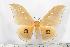  ( - BC-TB1450)  @11 [ ] Copyright (2010) Unspecified Research Collection of Thierry Bouyer