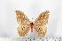  ( - BC-TB1494)  @12 [ ] Copyright (2010) Unspecified Research Collection of Thierry Bouyer