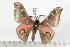  ( - BC-TB1521)  @12 [ ] Copyright (2010) Unspecified Research Collection of Thierry Bouyer