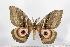 ( - BC-TB1539)  @14 [ ] Copyright (2010) Unspecified Research Collection of Thierry Bouyer
