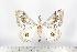  ( - BC-TB1567)  @13 [ ] Copyright (2010) Unspecified Research Collection of Thierry Bouyer