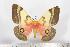  ( - BC-TB1577)  @14 [ ] Copyright (2010) Unspecified Research Collection of Thierry Bouyer