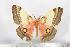  ( - BC-TB1579)  @11 [ ] Copyright (2010) Unspecified Research Collection of Thierry Bouyer