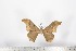  ( - BC-TB1635)  @11 [ ] Copyright (2010) Unspecified Research Collection of Thierry Bouyer