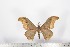  ( - BC-TB1636)  @11 [ ] Copyright (2010) Unspecified Research Collection of Thierry Bouyer