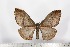  ( - BC-TB1638)  @13 [ ] Copyright (2010) Unspecified Research Collection of Thierry Bouyer