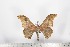  ( - BC-TB1639)  @13 [ ] Copyright (2010) Unspecified Research Collection of Thierry Bouyer