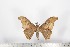  ( - BC-TB1640)  @13 [ ] Copyright (2010) Unspecified Research Collection of Thierry Bouyer