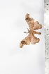  ( - BC-TB1682)  @12 [ ] Copyright (2010) Unspecified Research Collection of Thierry Bouyer