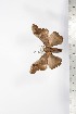  ( - BC-TB1687)  @11 [ ] Copyright (2010) Unspecified Research Collection of Thierry Bouyer