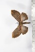  ( - BC-TB1689)  @12 [ ] Copyright (2010) Unspecified Research Collection of Thierry Bouyer