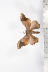  ( - BC-TB1690)  @12 [ ] Copyright (2010) Unspecified Research Collection of Thierry Bouyer