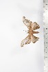  ( - BC-TB1692)  @12 [ ] Copyright (2010) Unspecified Research Collection of Thierry Bouyer