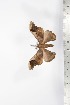  ( - BC-TB1693)  @12 [ ] Copyright (2010) Unspecified Research Collection of Thierry Bouyer