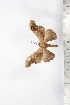  ( - BC-TB1694)  @12 [ ] Copyright (2010) Unspecified Research Collection of Thierry Bouyer