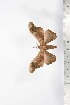  ( - BC-TB1696)  @11 [ ] Copyright (2010) Unspecified Research Collection of Thierry Bouyer