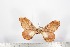  ( - BC-TB1739)  @11 [ ] Copyright (2010) Unspecified Research Collection of Thierry Bouyer