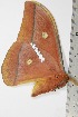  ( - BC-TB1753)  @12 [ ] Copyright (2010) Unspecified Research Collection of Thierry Bouyer