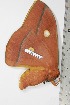  ( - BC-TB1754)  @12 [ ] Copyright (2010) Unspecified Research Collection of Thierry Bouyer