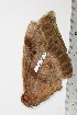  ( - BC-TB1756)  @12 [ ] Copyright (2010) Unspecified Research Collection of Thierry Bouyer