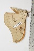  ( - BC-TB1758)  @13 [ ] Copyright (2010) Unspecified Research Collection of Thierry Bouyer