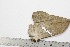  ( - BC-TB1793)  @12 [ ] Copyright (2010) Unspecified Research Collection of Thierry Bouyer
