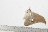  ( - BC-TB1804)  @13 [ ] Copyright (2010) Unspecified Research Collection of Thierry Bouyer