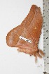  ( - BC-TB1858)  @12 [ ] Copyright (2010) Unspecified Research Collection of Thierry Bouyer
