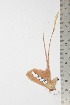  ( - BC-TB1862)  @12 [ ] Copyright (2010) Unspecified Research Collection of Thierry Bouyer
