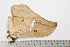  ( - BC-TB1883)  @12 [ ] Copyright (2010) Unspecified Research Collection of Thierry Bouyer