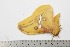  ( - BC-TB1889)  @12 [ ] Copyright (2010) Unspecified Research Collection of Thierry Bouyer