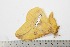  ( - BC-TB1897)  @12 [ ] Copyright (2010) Unspecified Research Collection of Thierry Bouyer