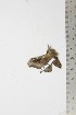  ( - BC-TB1952)  @12 [ ] Copyright (2010) Unspecified Research Collection of Thierry Bouyer