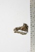  ( - BC-TB1954)  @12 [ ] Copyright (2010) Unspecified Research Collection of Thierry Bouyer