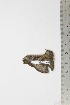  ( - BC-TB1955)  @12 [ ] Copyright (2010) Unspecified Research Collection of Thierry Bouyer