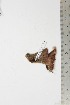  ( - BC-TB1956)  @12 [ ] Copyright (2010) Unspecified Research Collection of Thierry Bouyer