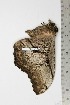  ( - BC-TB1966)  @12 [ ] Copyright (2010) Unspecified Research Collection of Thierry Bouyer