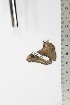  ( - BC-TB1980)  @12 [ ] Copyright (2010) Unspecified Research Collection of Thierry Bouyer
