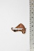 ( - BC-TB1983)  @12 [ ] Copyright (2010) Unspecified Research Collection of Thierry Bouyer