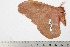  ( - BC-TB2033)  @12 [ ] Copyright (2010) Unspecified Research Collection of Thierry Bouyer
