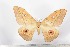  ( - BC-TB2277)  @13 [ ] Copyright (2010) Unspecified Research Collection of Thierry Bouyer