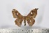  ( - BC-TB2331)  @13 [ ] Copyright (2010) Unspecified Research Collection of Thierry Bouyer