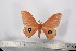  ( - BC-TB2361)  @12 [ ] Copyright (2010) Unspecified Research Collection of Thierry Bouyer